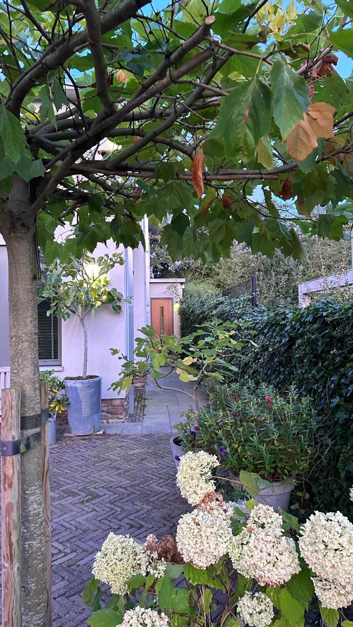Luxe B&B "In De Schulp", Ontspan En Geniet Van Comfort En Stijl Amstelveen Zewnętrze zdjęcie